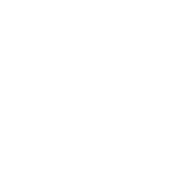 twitter icon